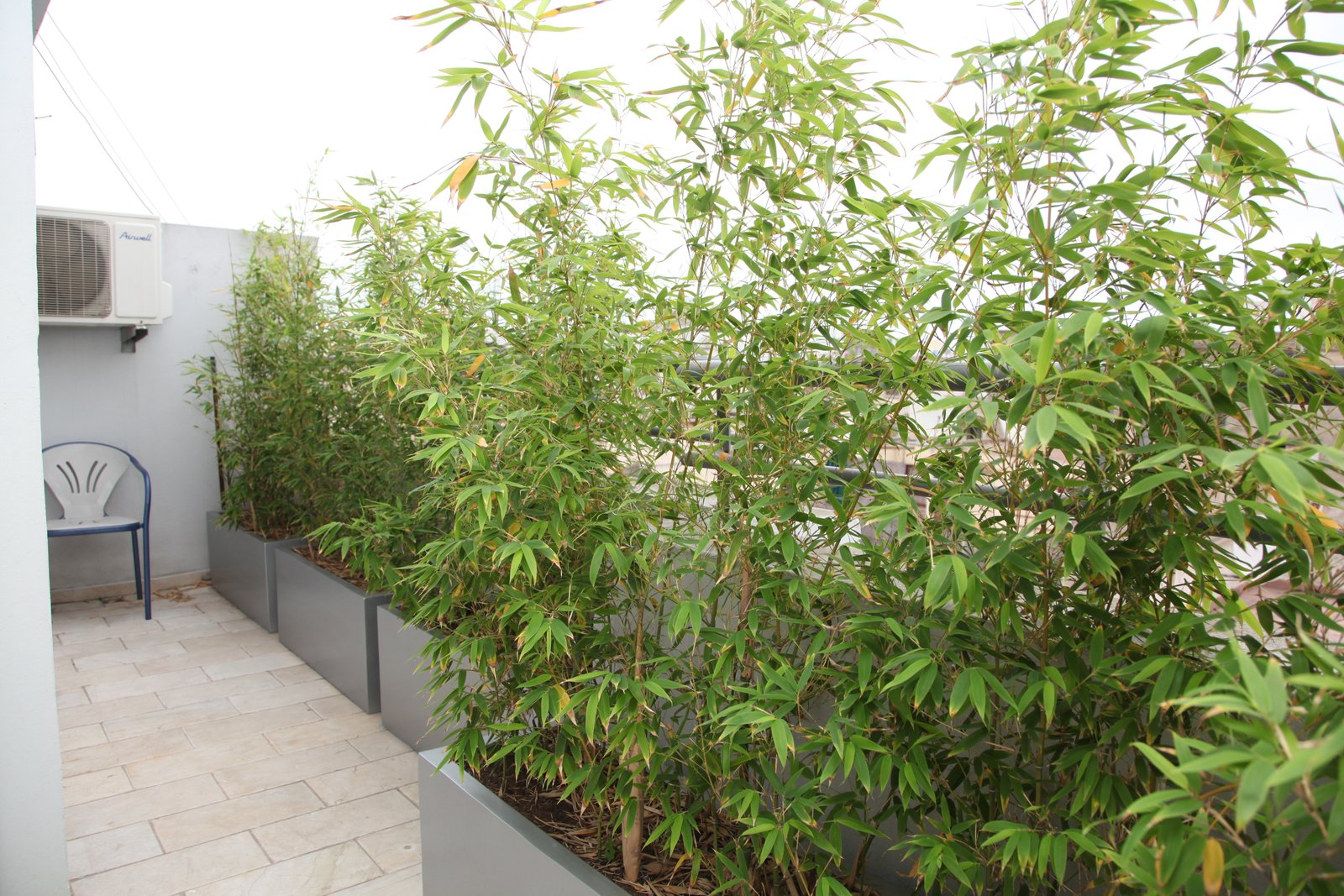 Rénovation appartement JRF Building 3